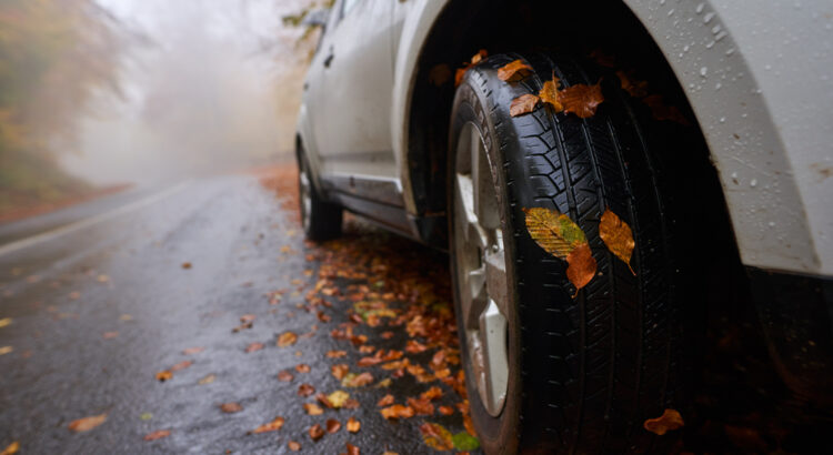 How Falling Leaves Can Damage Your Vehicle