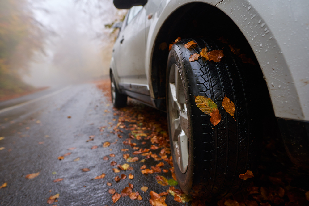 How Falling Leaves Can Damage Your Vehicle