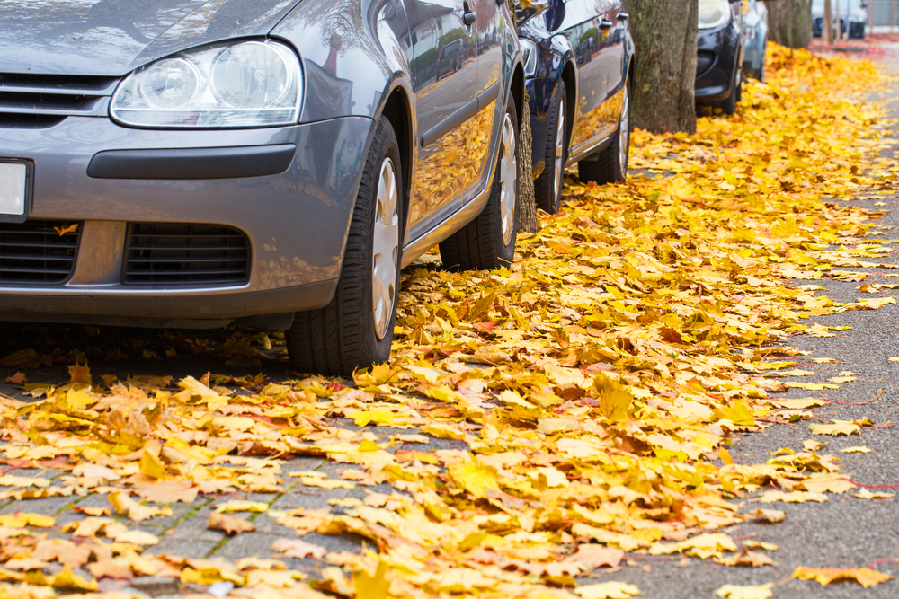 How Falling Leaves Can Damage Your Vehicle